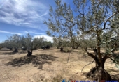Chalet independiente con terreno en venta en Alcalá del Júcar ref: TR105476 foto