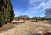 Chalet independiente con terreno en venta en Alcalá del Júcar ref: TR105476 foto