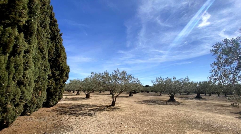 Albacete - Almansa - 3119m2