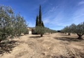 Chalet independiente con terreno en venta en Alcalá del Júcar ref: TR105476 foto