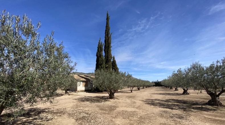 Albacete - Almansa - 3119m2
