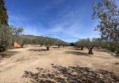 Chalet independiente con terreno en venta en Alcalá del Júcar ref: TR105476 foto