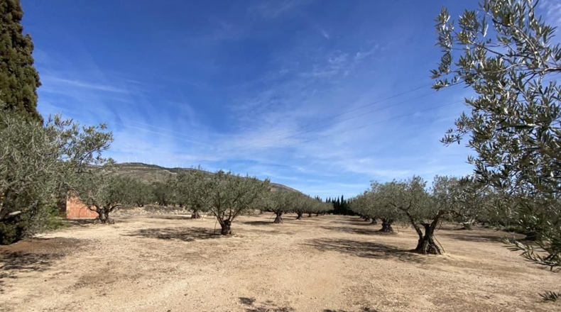 Albacete - Almansa - 3119m2