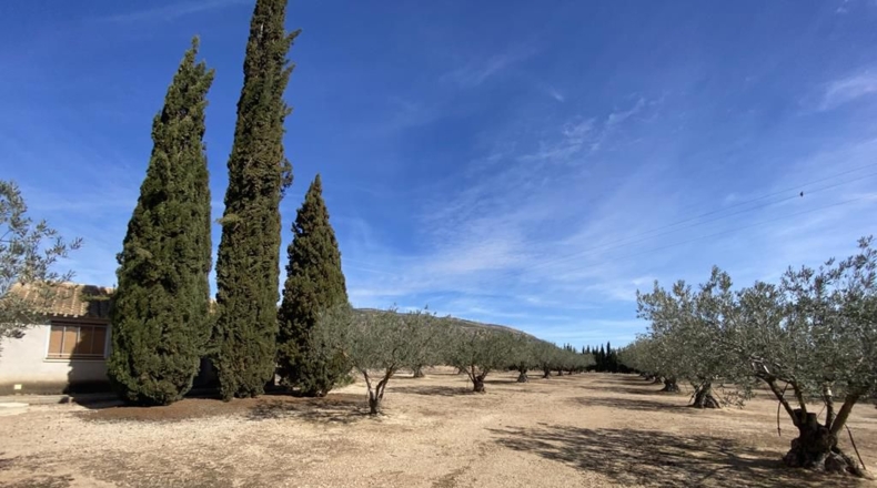 Albacete - Almansa - 3119m2