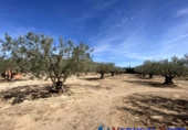 Chalet independiente con terreno en venta en Alcalá del Júcar ref: TR105476 foto