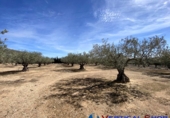 Chalet independiente con terreno en venta en Alcalá del Júcar ref: TR105476 foto
