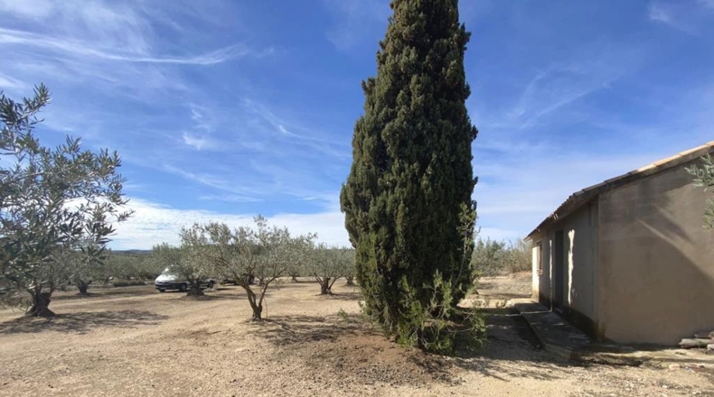 Albacete - Almansa - 3119m2