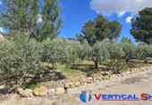 Detached villa with land for sale in Caudete ref: TR336512 photo