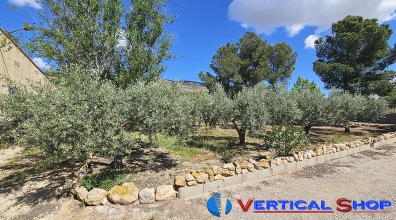 Albacete - Caudete - 3435m2