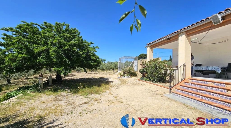 Albacete - Caudete - 3435m2