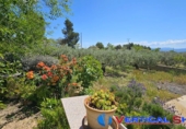 Detached villa with land for sale in Caudete ref: TR336512 photo