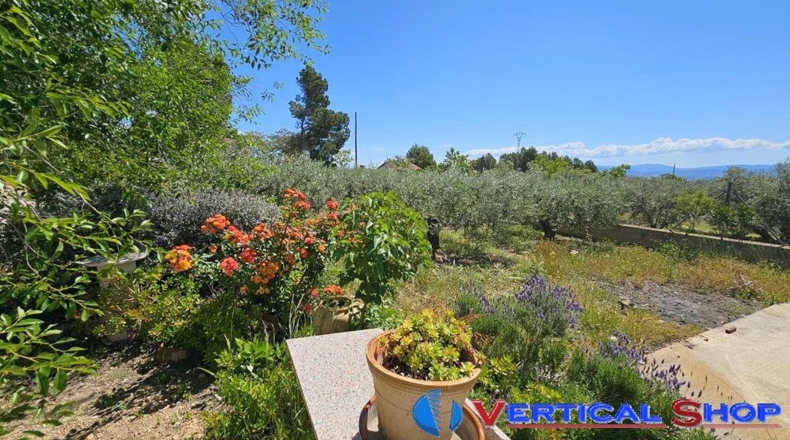 Albacete - Caudete - 3435m2