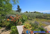 Detached villa with land for sale in Caudete ref: TR336512 photo