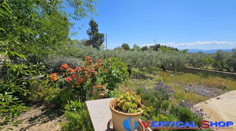 Albacete - Caudete - 3435m2