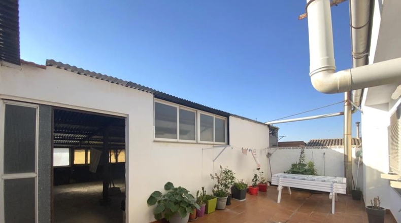 Albacete - Caudete - 513m2