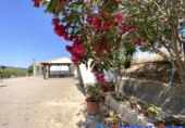 Chalet independiente con terreno en venta en Caudete ref: TR278094 foto