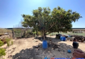 Chalet independiente con terreno en venta en Caudete ref: TR278094 foto