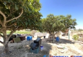Chalet independiente con terreno en venta en Caudete ref: TR278094 foto