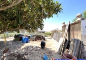Chalet independiente con terreno en venta en Caudete ref: TR278094 foto