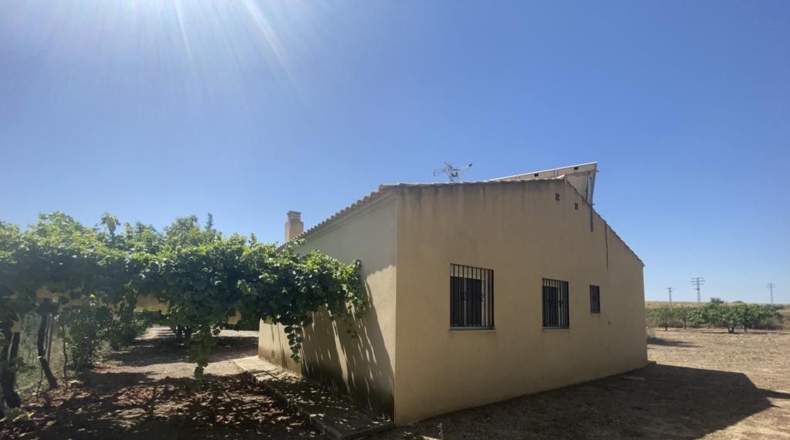 Guadalajara - Pioz - 2765m2