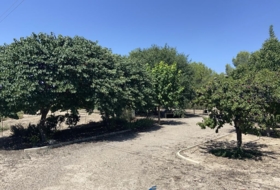 Каудете 2765&nbsp;м²