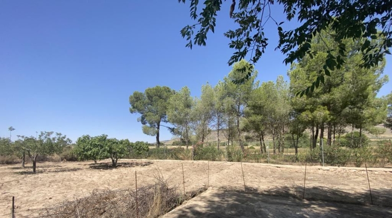 Guadalajara - Pioz - 2765m2