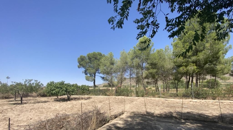 Guadalajara - Pioz - 2765m2