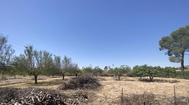 Guadalajara - Pioz - 2765m2