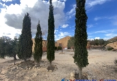 Chalet independiente con terreno en venta en Caudete ref: TR347161 foto