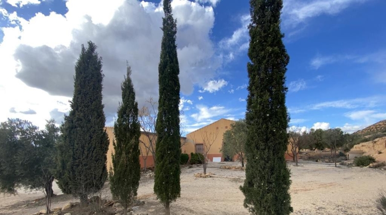 Albacete - Caudete - 28185m2