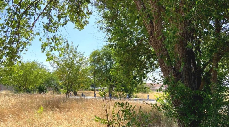 Albacete - Caudete - 3010m2