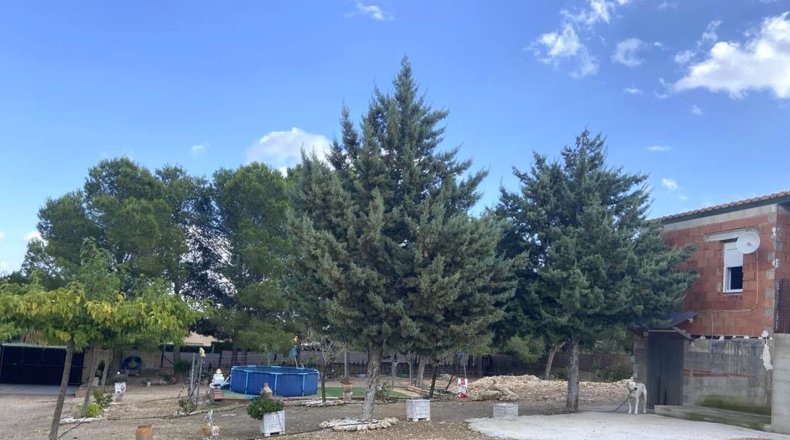 Альбакете - Caudete - 2340m2