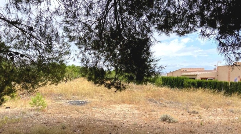 Albacete - Caudete - 5594m2