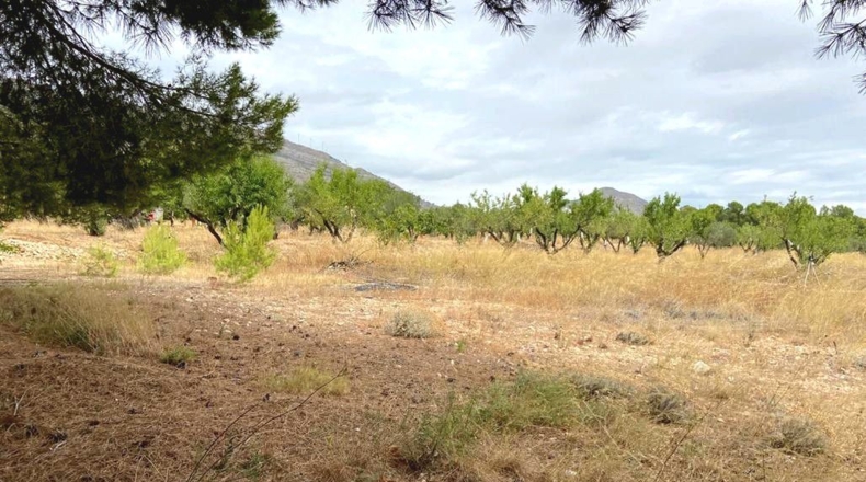 Albacete - Caudete - 5594m2