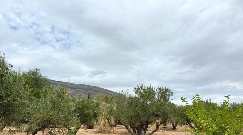 Albacete - Caudete - 5594m2
