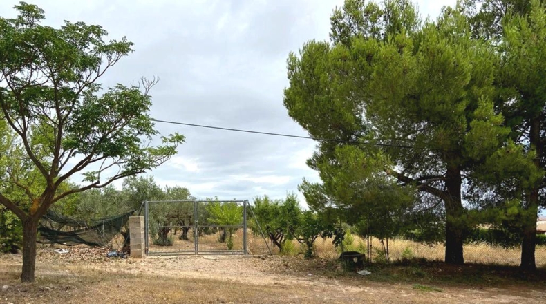 Albacete - Caudete - 5594m2
