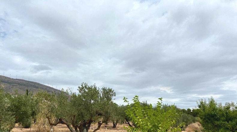 Albacete - Caudete - 5594m2