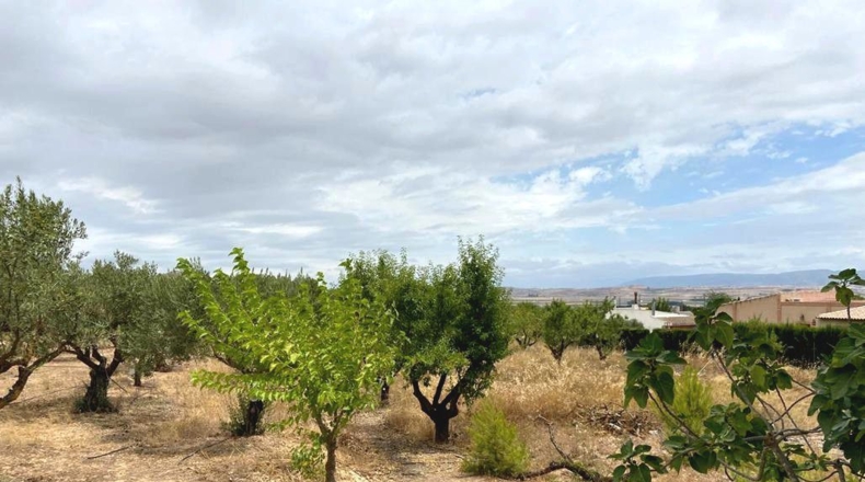 Albacete - Caudete - 5594m2