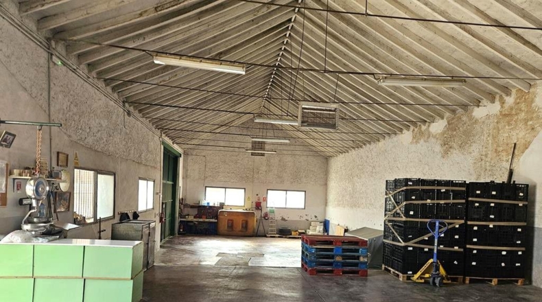Albacete - Caudete - 1380m2