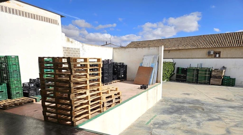 Albacete - Caudete - 1380m2