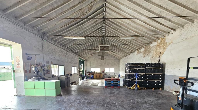 Albacete - Caudete - 1380m2