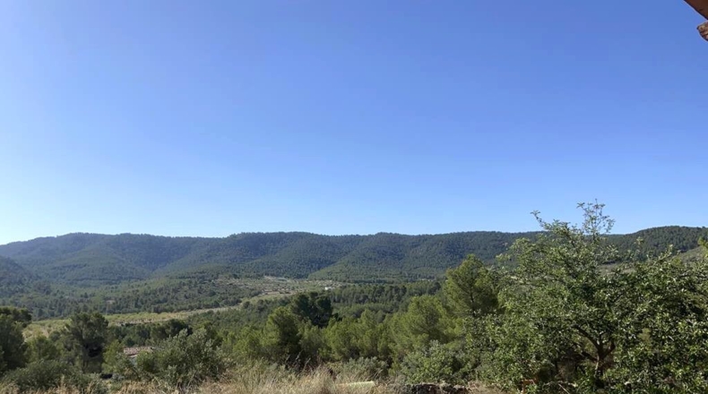Alicante - Villena - 160000m2