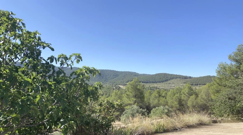 Alicante - Villena - 160000m2