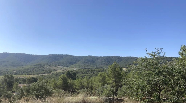 Alicante - Villena - 160000m2
