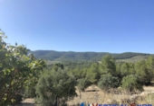 Xalet independent amb terreny en venda a Villena ref.: TR233339 foto