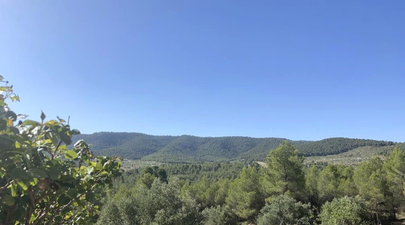 Alicante - Villena - 160000m2