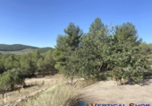 Xalet independent amb terreny en venda a Villena ref.: TR233339 foto