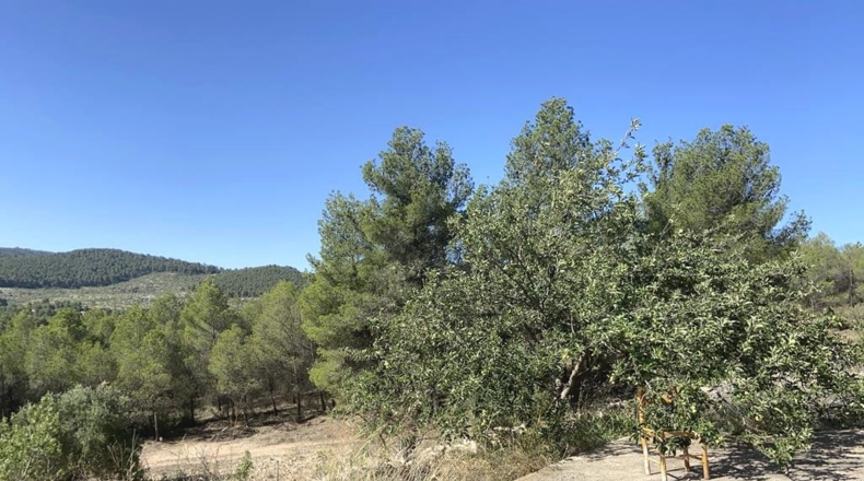 Alicante - Villena - 160000m2