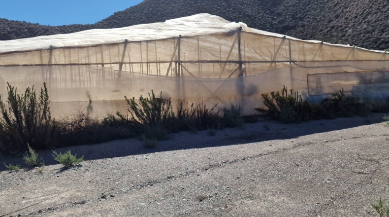 Murcia - Águilas - 115000m2