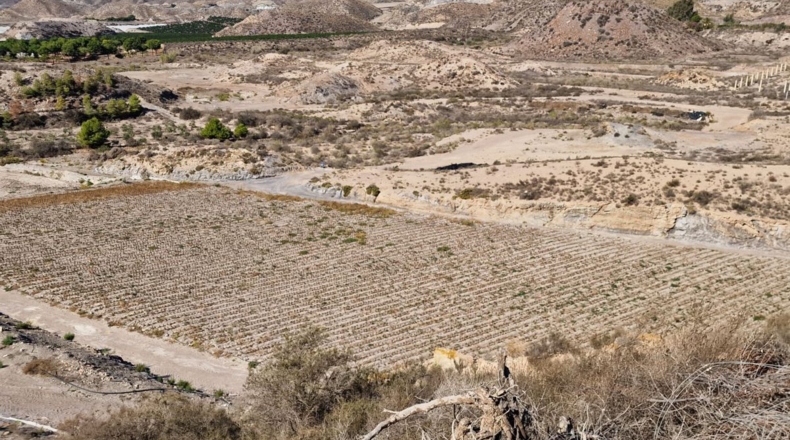 Murcia - Águilas - 115000m2